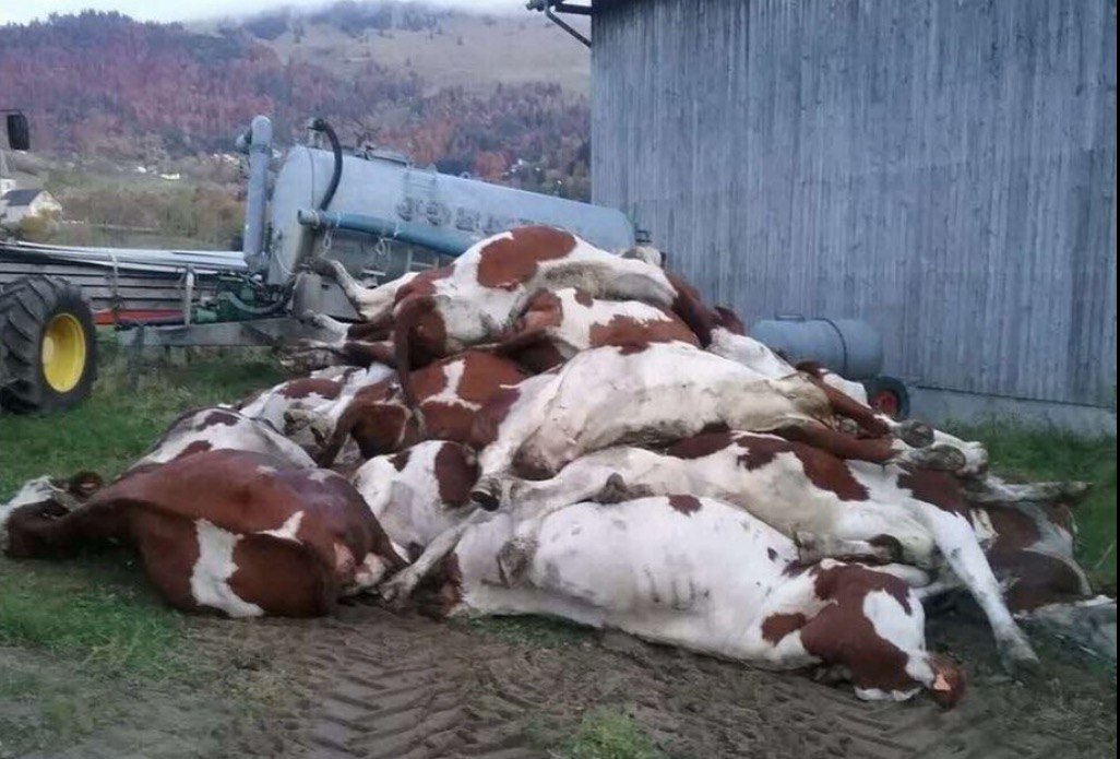 Macron déclare aussi la guerre à nos paysans